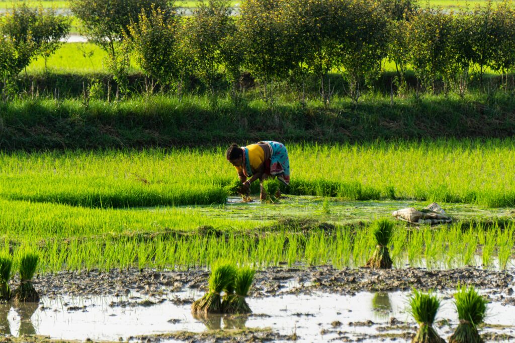 Budget 2024 Pm Kisan 